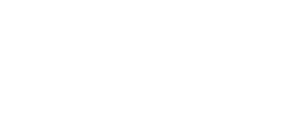 Queue de billard français LAPERTI avec boitier n° 5 - blanche - Eurobillards