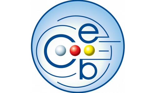 CEB Board 2021-2025